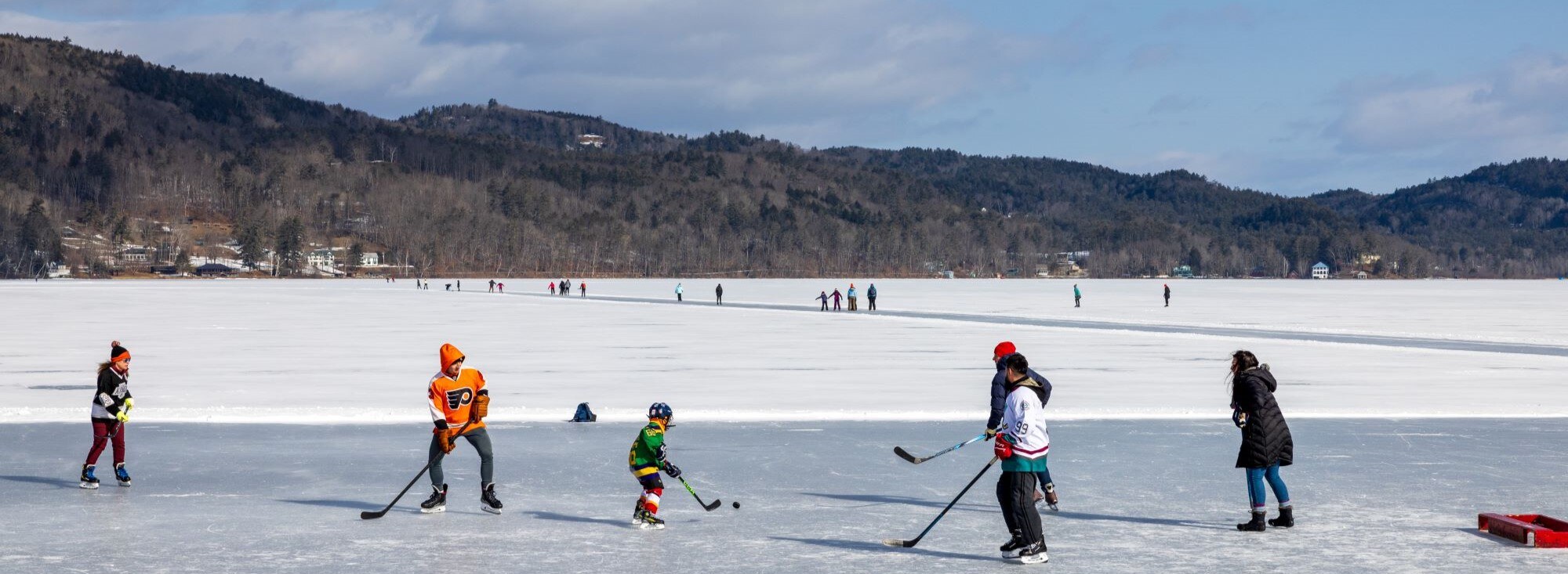 hockey players