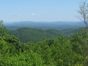 bald top overlook