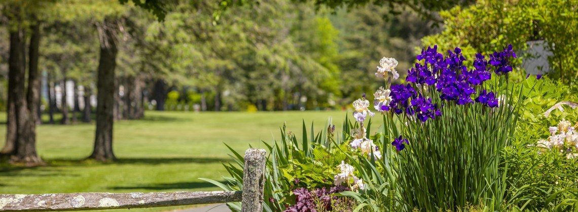 flowers and golfer