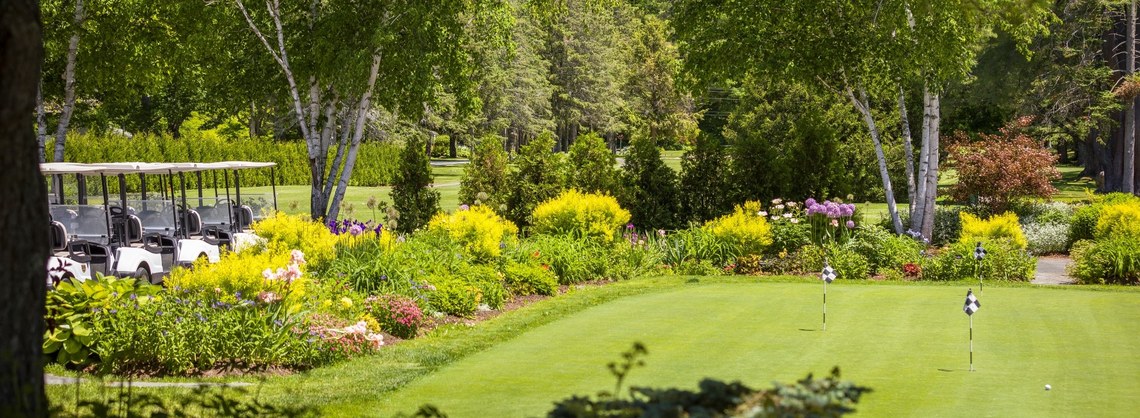 putting green and carts