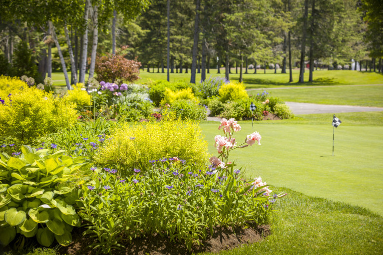 putting green