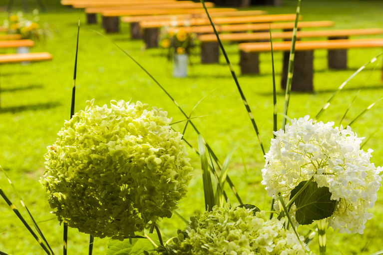 Hemlock Garden Ceremony From Behind Alter