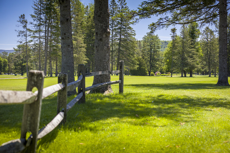 LMCC Fence