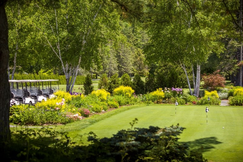 putting green and carts