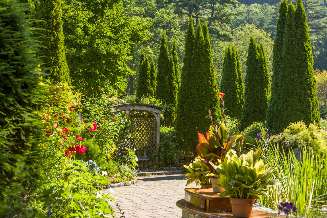 Gardens in the sun