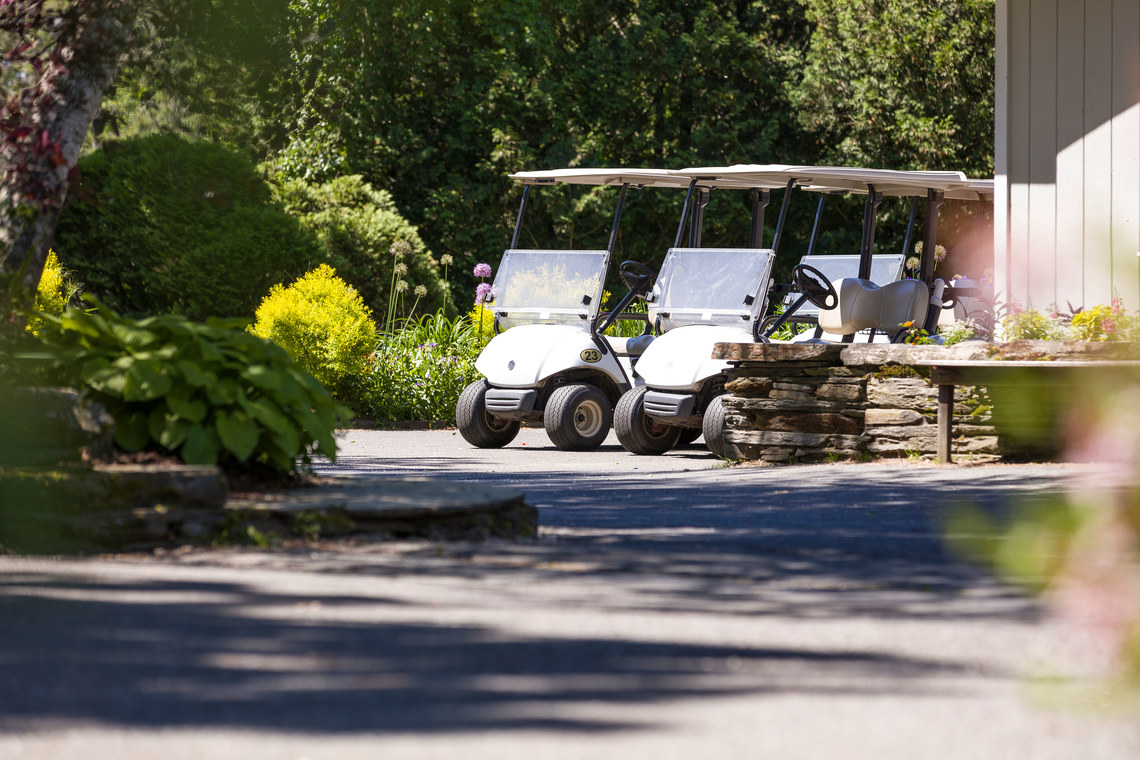 Golf carts in waiting