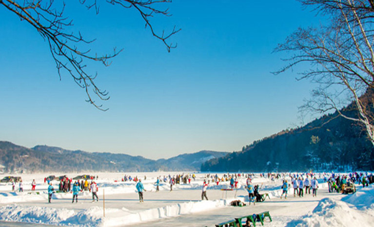 Pond Hockey